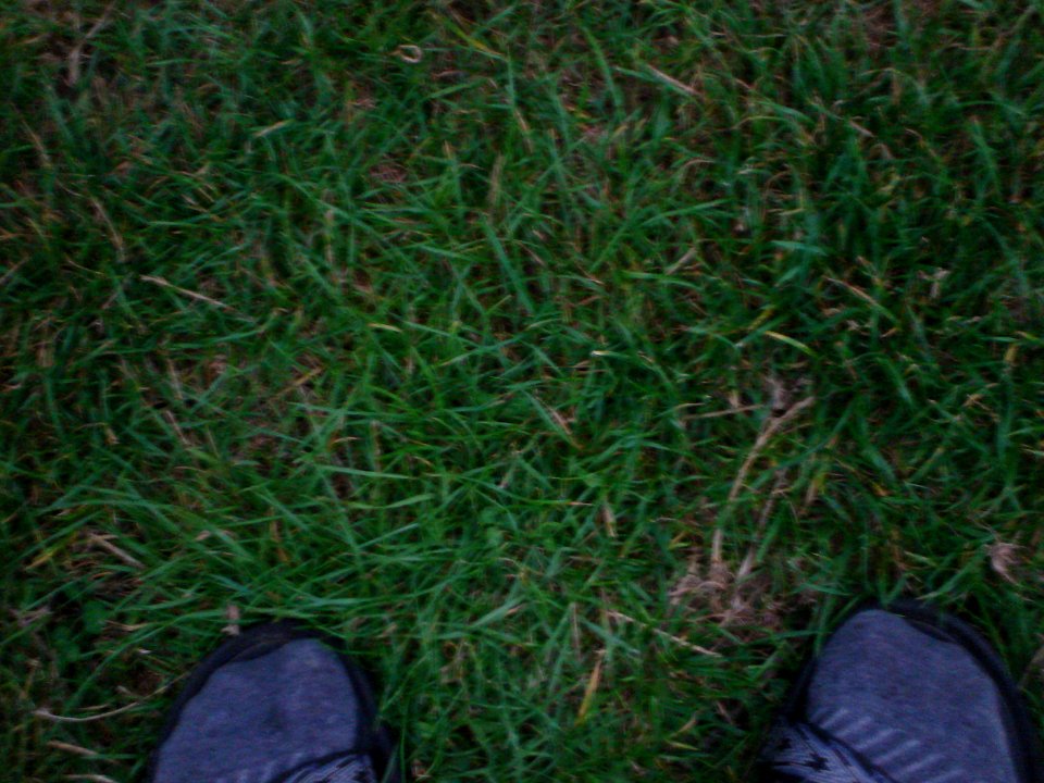 dsc01866.jpg 