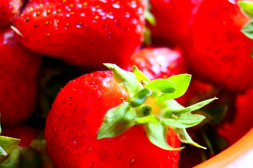 Sweet delicious eat
