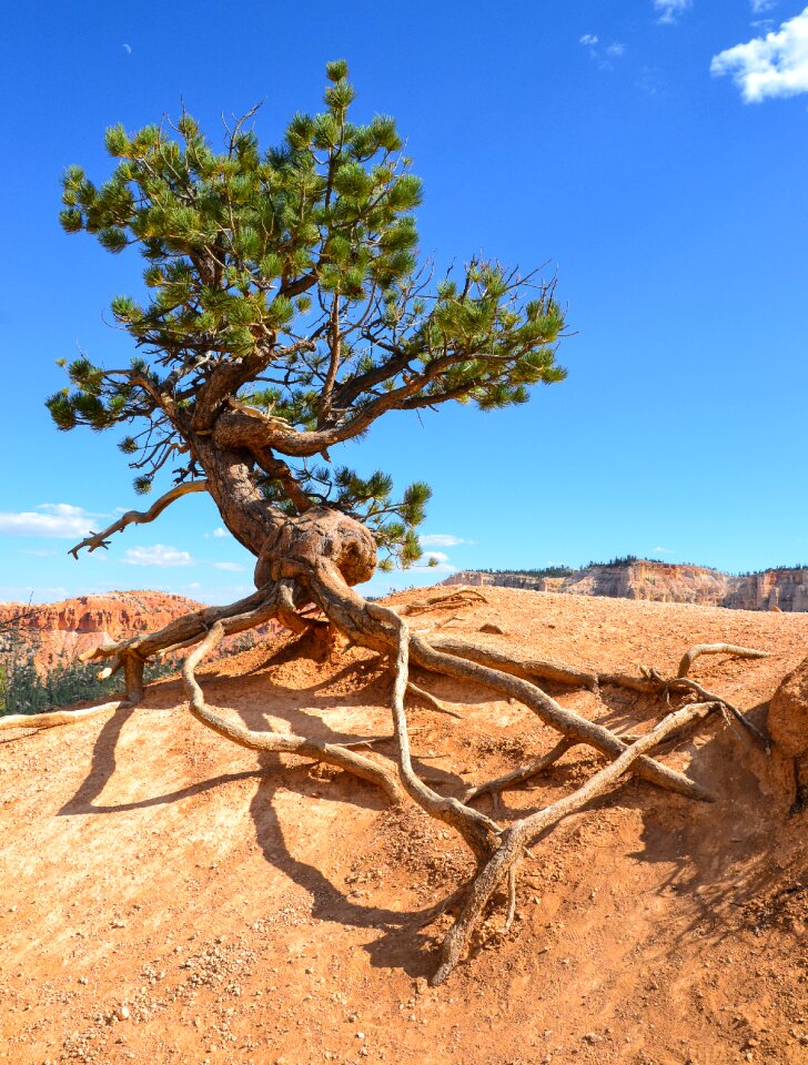 Usa national park america