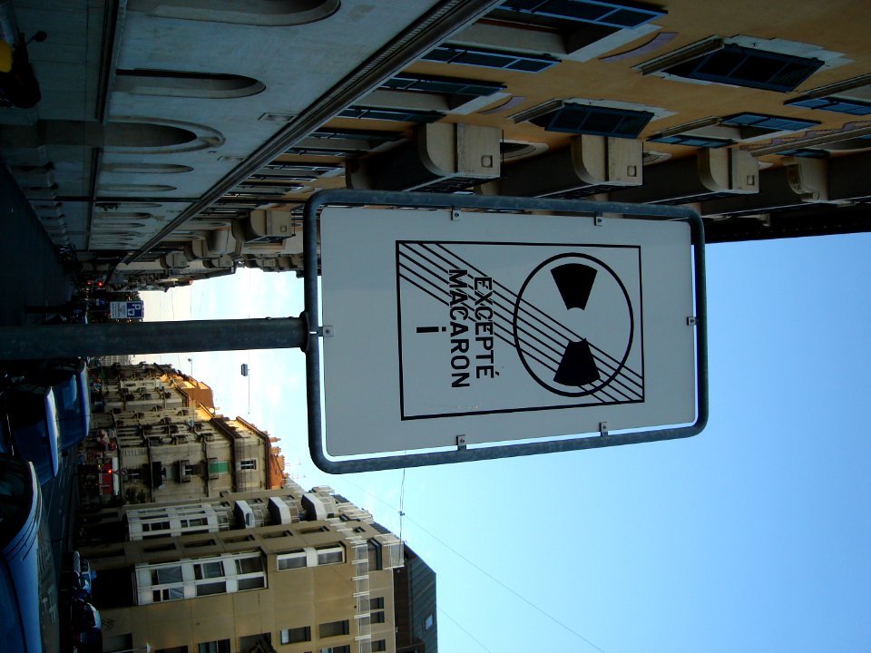 dsc01948.jpg 