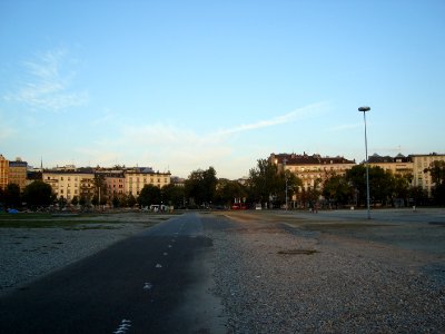 dsc01951.jpg 