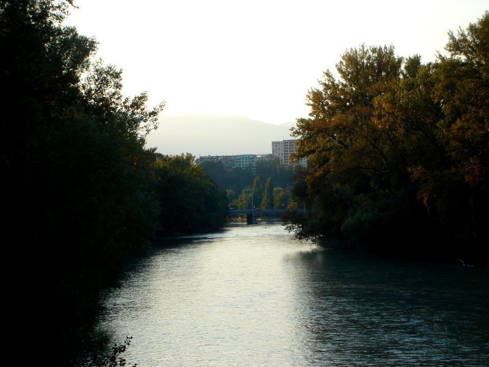 dsc01947.jpg 