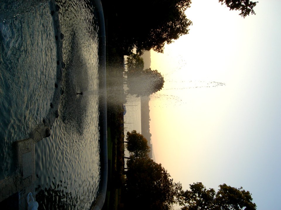 dsc01974.jpg 