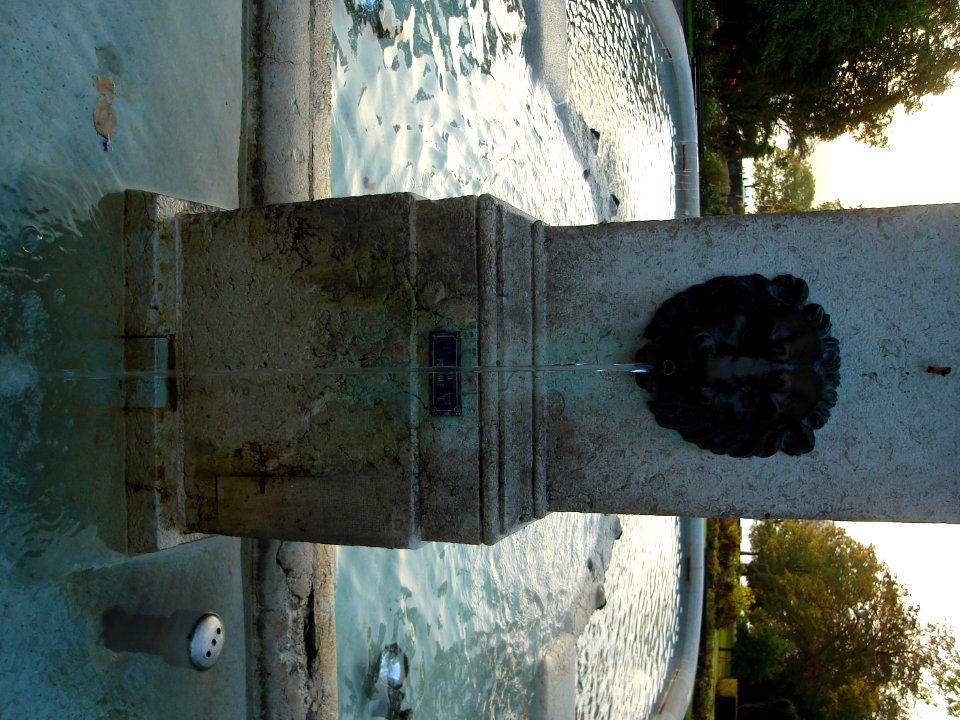 dsc01973.jpg 