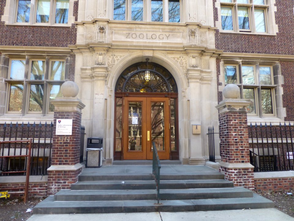 P1050853 