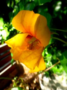 P1050857 