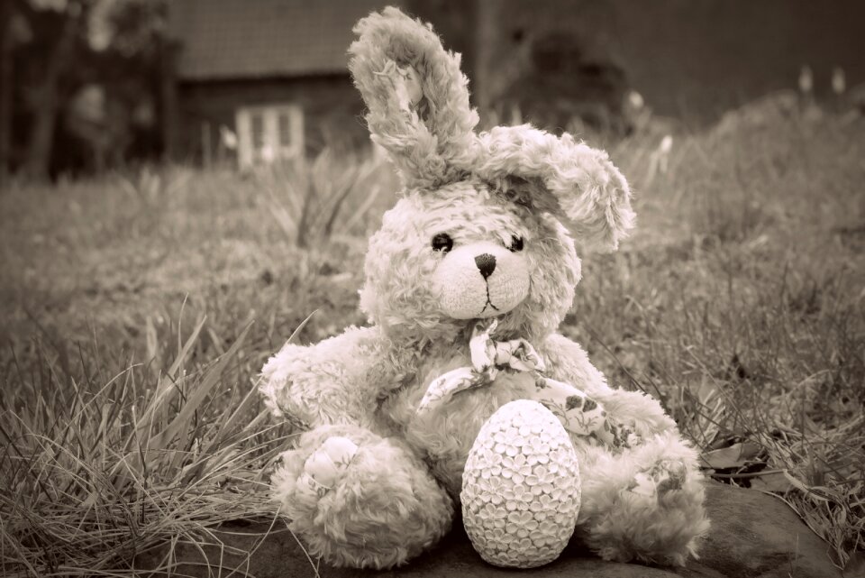Stuffed animal teddy bear cute