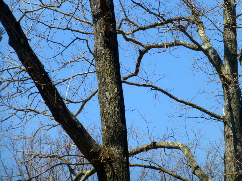P1050765 