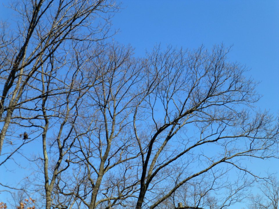 P1050764 