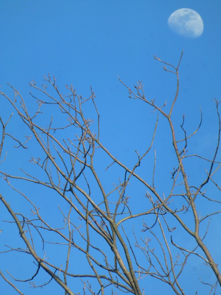 P1050809 