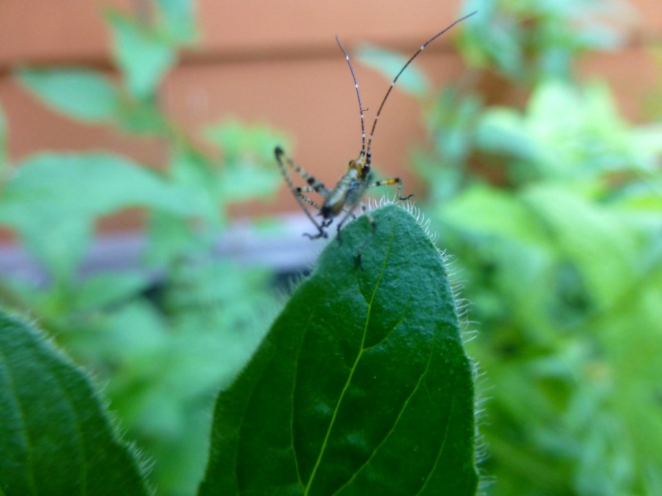 P1050861 