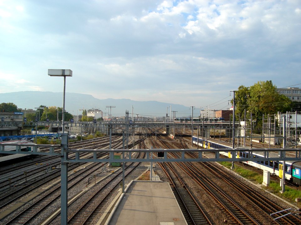 dsc02096.jpg 