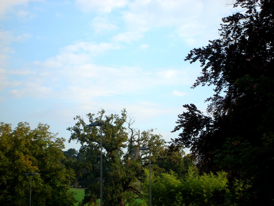 dsc02105.jpg 
