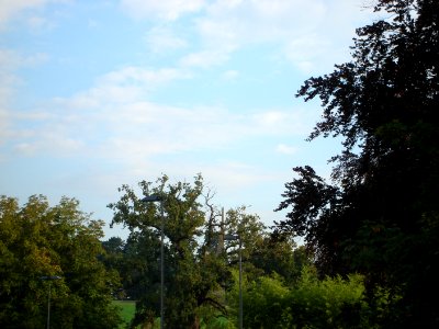 dsc02105.jpg 