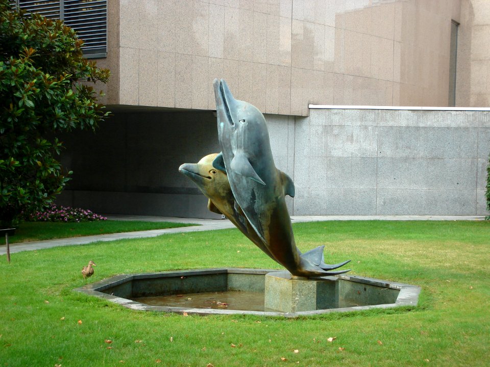 dsc02108.jpg 