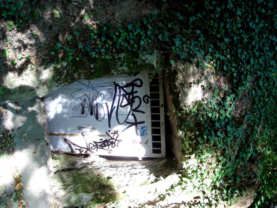 dsc02043.jpg 