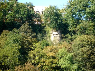 dsc02054.jpg 