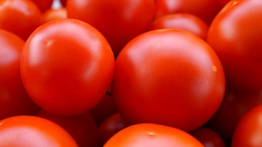 Vegetables food vegetarian