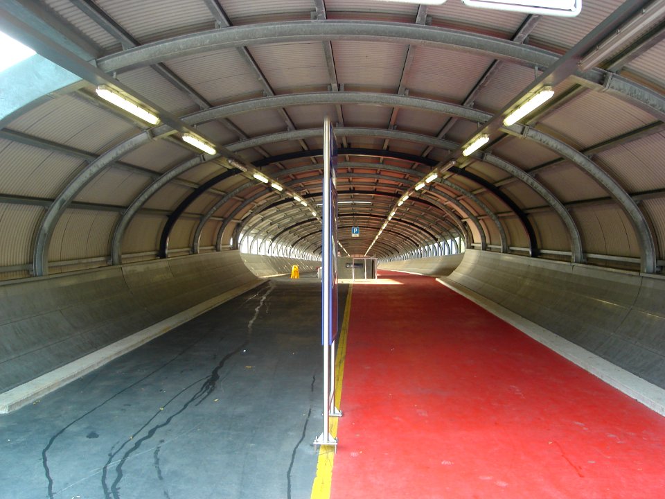 dsc02094.jpg 