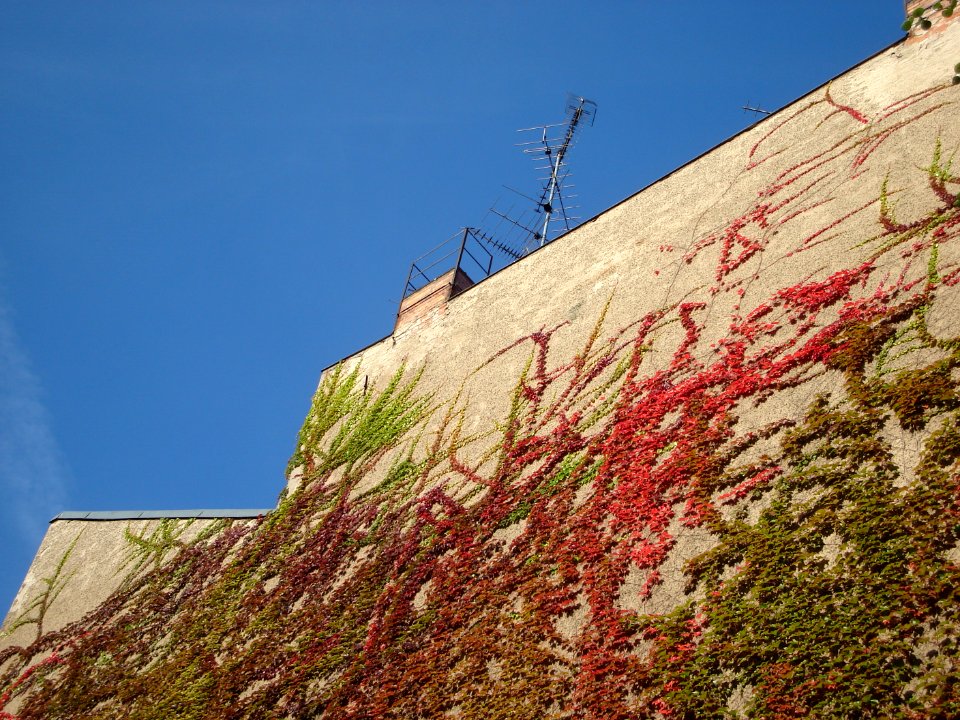 dsc02171.jpg 
