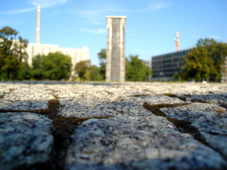 dsc02192.jpg 