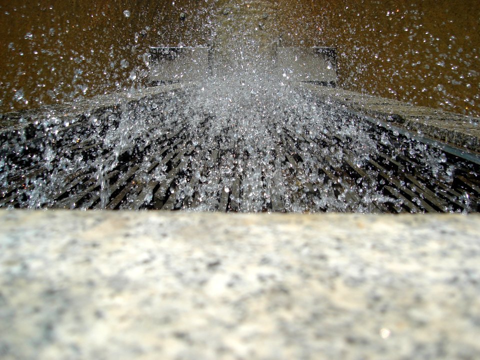 dsc02197.jpg 