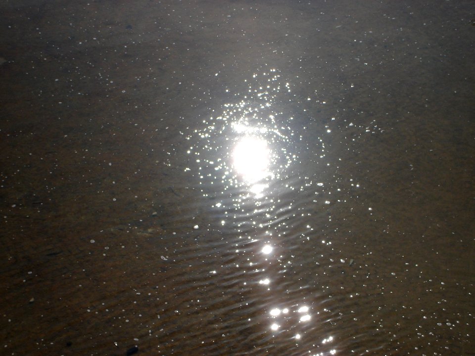 dsc02199.jpg 