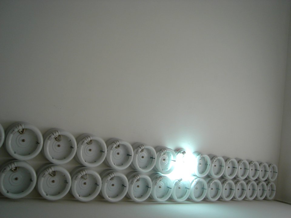 dsc02211.jpg 