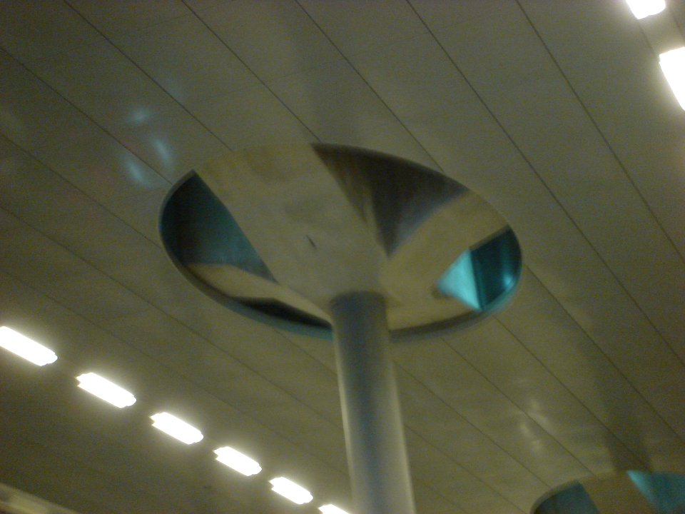 dsc02226.jpg 