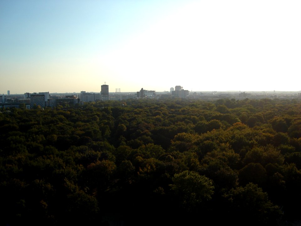 dsc02284.jpg 