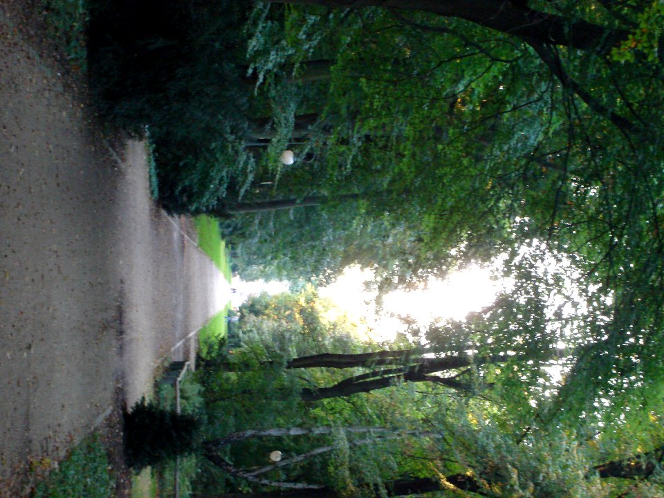 dsc02313.jpg 