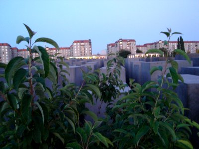 dsc02366.jpg 