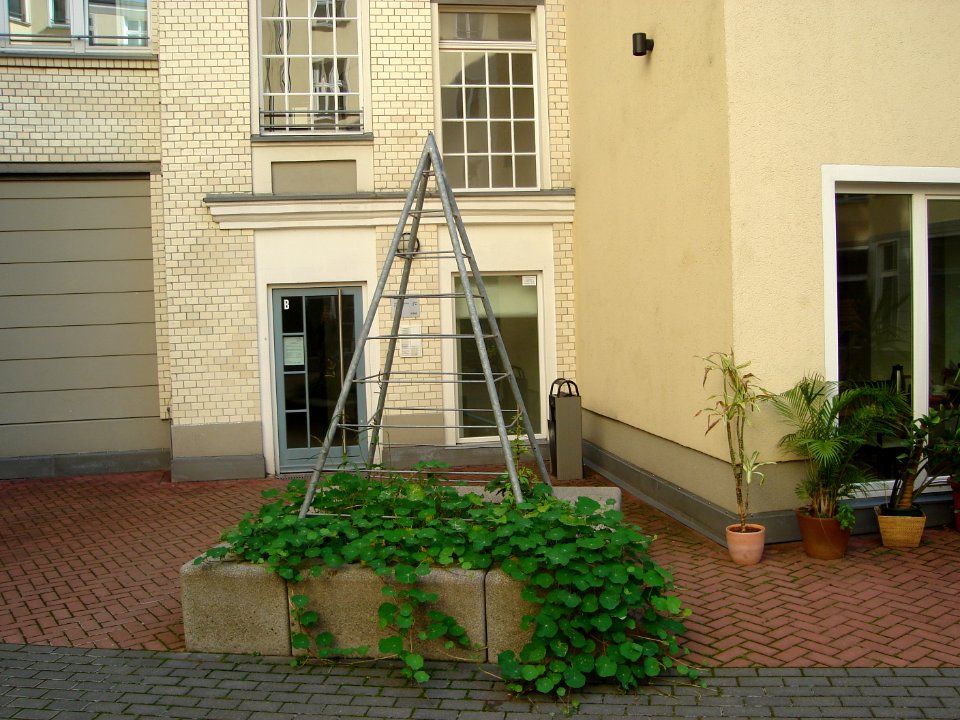 dsc02412.jpg 
