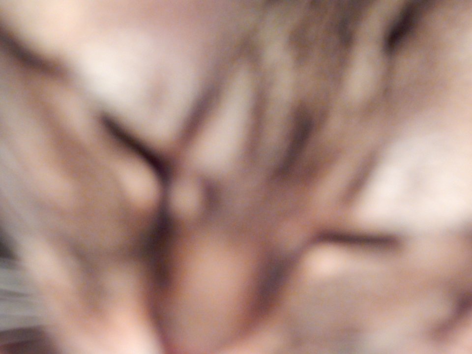 DSCN0061 