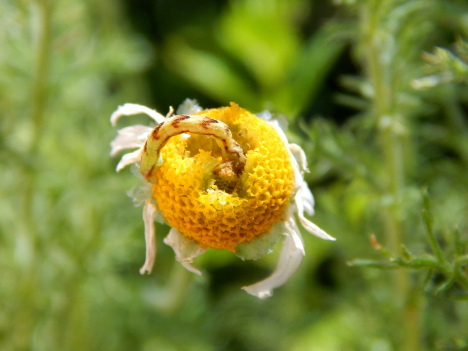 DSCN0052 