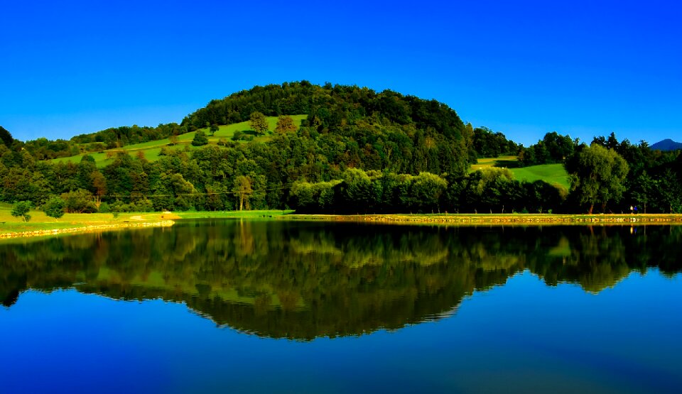 Hills forest trees photo