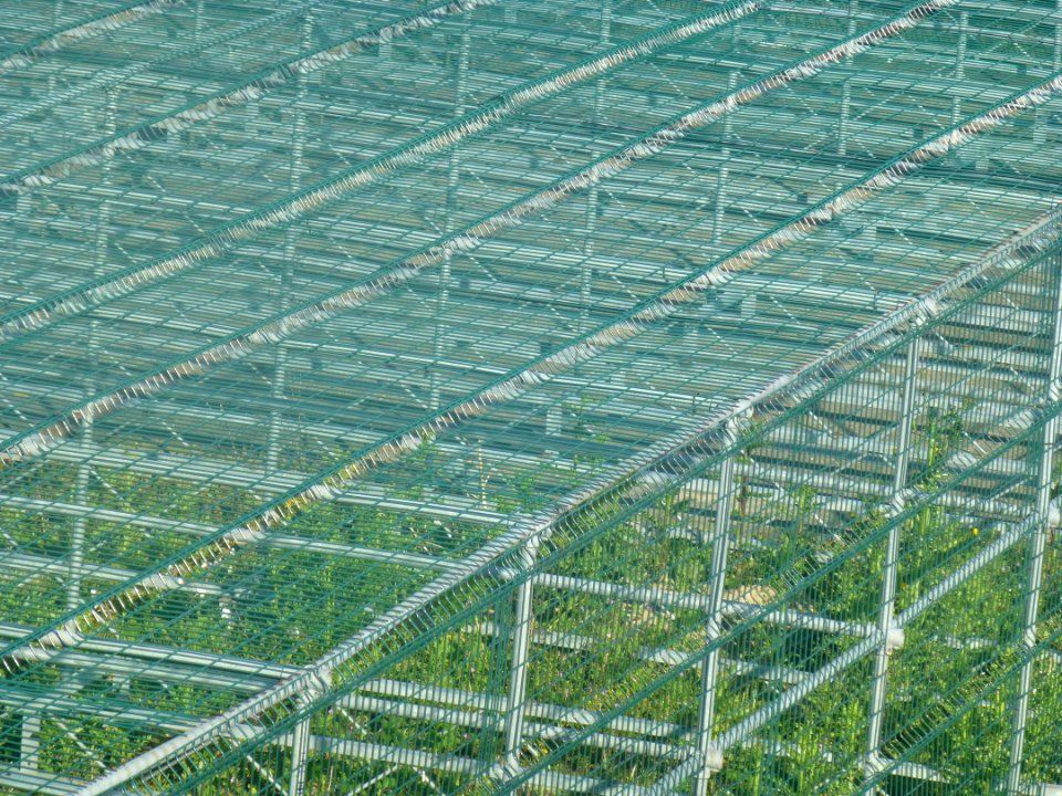 P1050926 