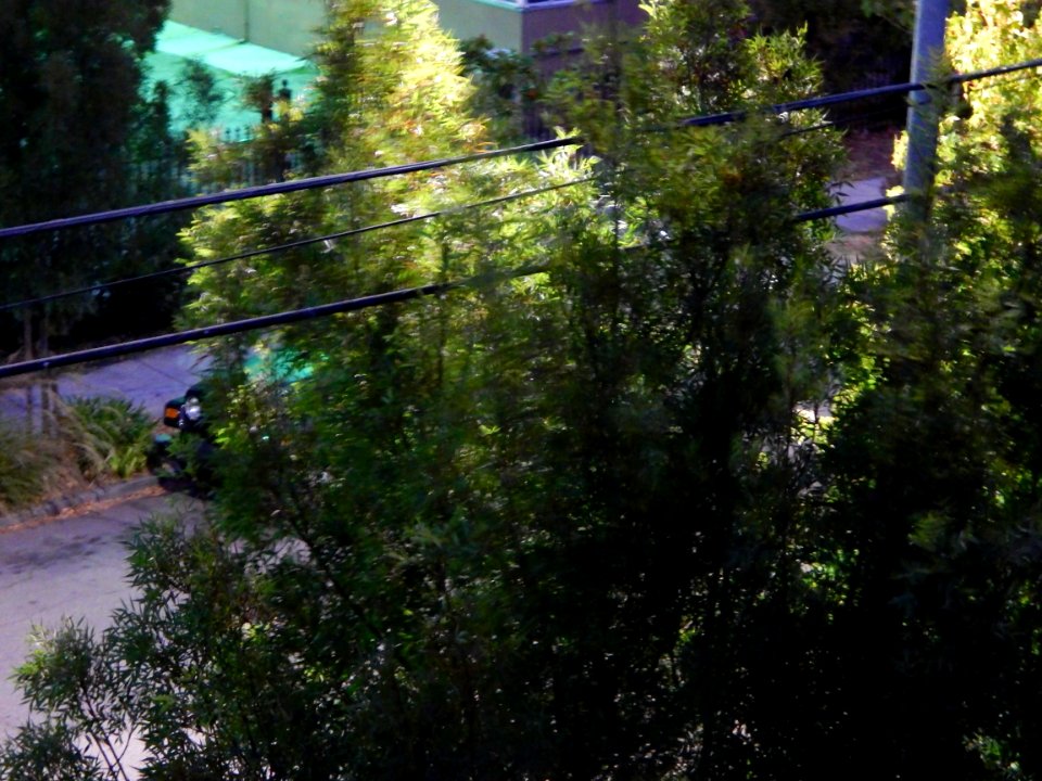 DSCN0071 