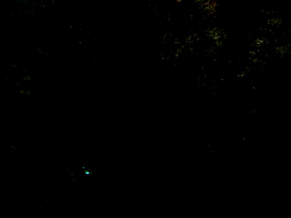 DSCN0070 