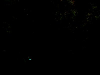 DSCN0070 