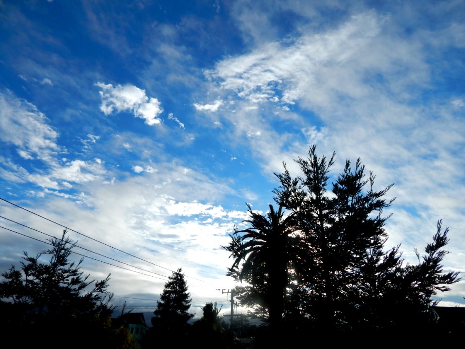 DSCN0083 