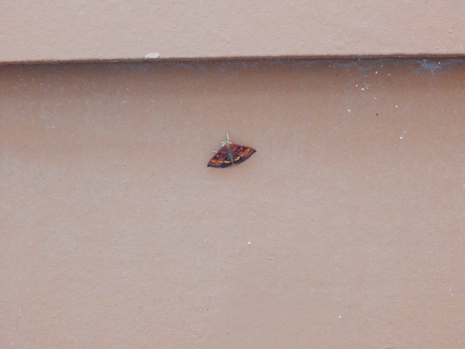 DSCN0056 