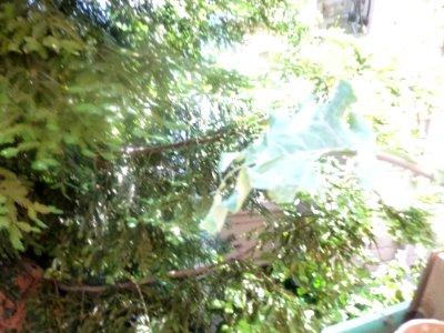 P1050941 