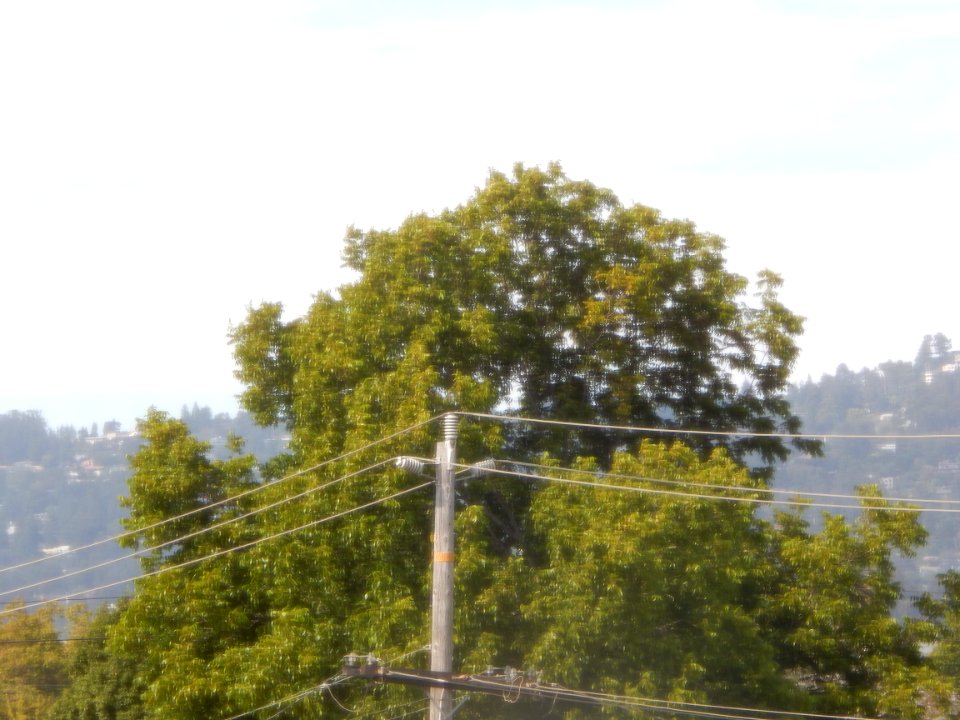 DSCN0081 