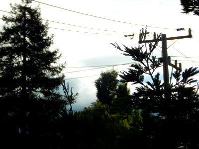 DSCN0087 