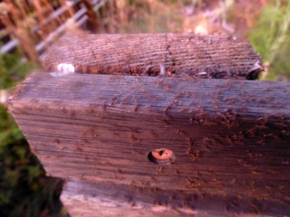 P1050957 