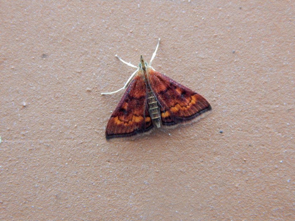 DSCN0053 