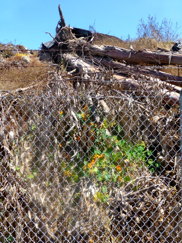 P1050975 