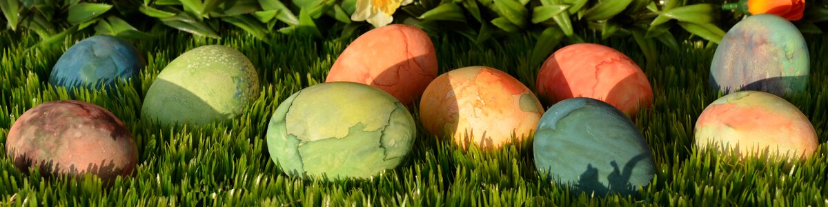 Decoration easter decoration happy easter