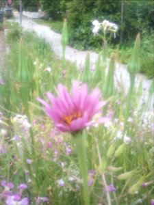 IMG_20140508_082237 